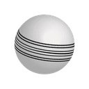 Cricket Ball